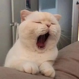 活着就累