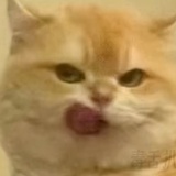 南煎丸子