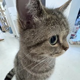 小软不软