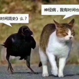 肉包儿456