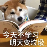 醒醒很行