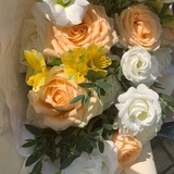 苍茫天涯我的爱