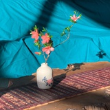 青牡丹