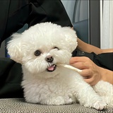 是宁不是宇