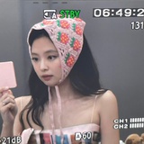 一只小甜豆