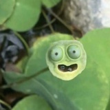 哔～～～～