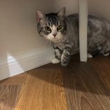 不知道什么名字