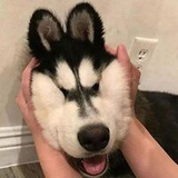 無事
