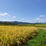 你问我问