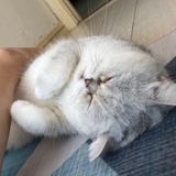 lucky_C