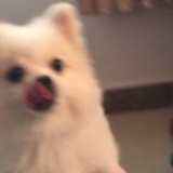 种花得瓜