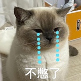 肥小鱼