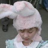 藤藤木