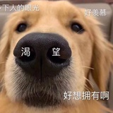 很奇怪耶你