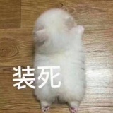 啥也不是