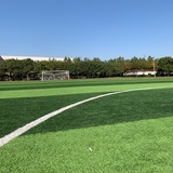 方柏融