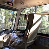 脱线毛球