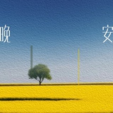 圆圆的月亮🌙