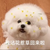齐天大圣孙小空