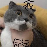 大魔王林肉球