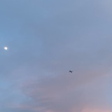 心里儿美