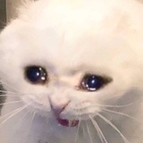 风入松