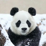 超级可乐
