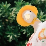 小不懂