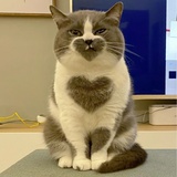 吃瓜