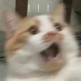 汤圆