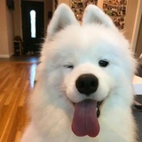 沐沐