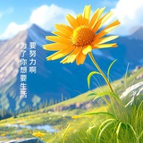 悟空