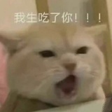 桃园三章
