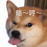 今天也要开心呀