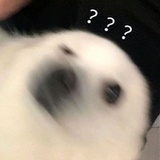 很困