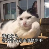 没什么要紧的