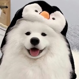 谁在说话