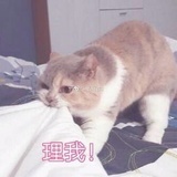 兜里有虾条