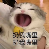 比划比划