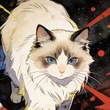 呼噜猫薄荷