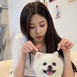 藏马