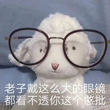 学贯中西小瓜皮