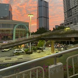 白马向阳