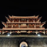 何首乌