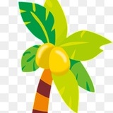 小新