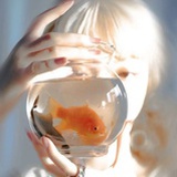 四糸乃