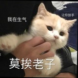 超酷