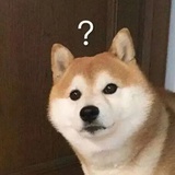 一只嘎嘎