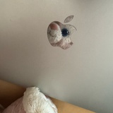土豆怪
