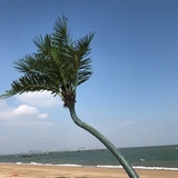 皮蛋香蕉瘦肉粥